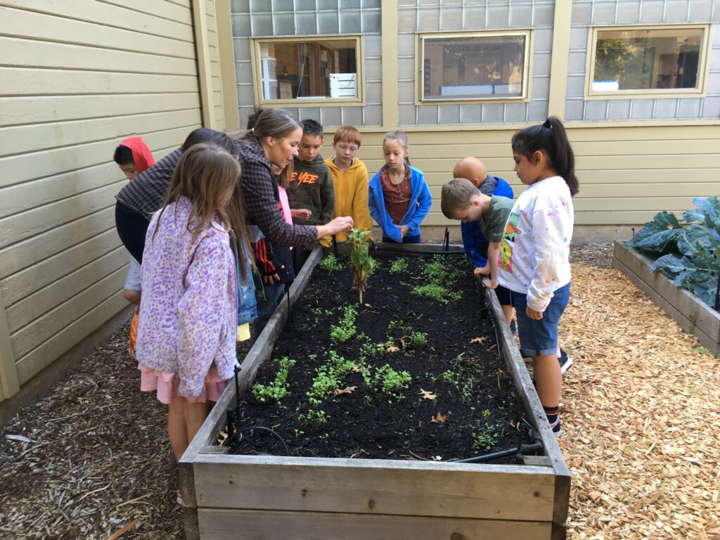 What We Do + How We Do It - School Garden Project